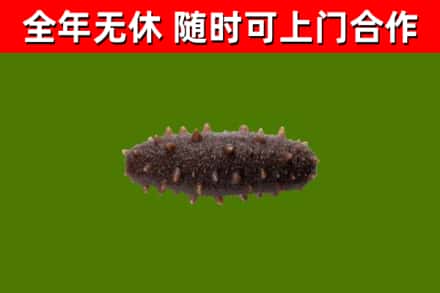 城厢烟酒回收干海参.jpg
